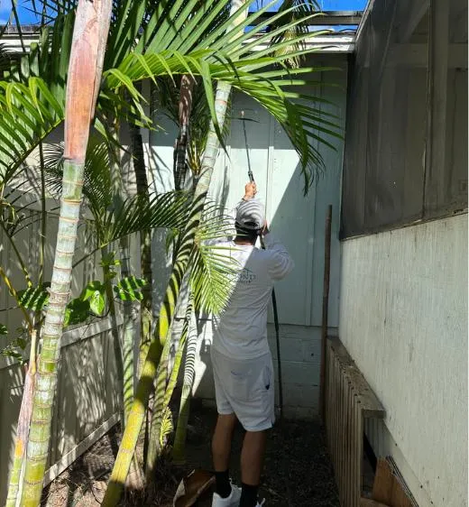 affordable exterior painters santa rosa